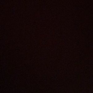 Meet your Posher, Sasha